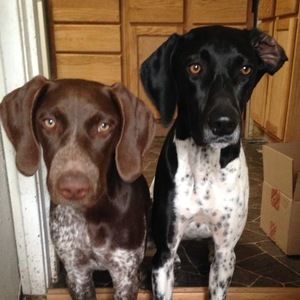 Meet your Posher, Chyenne